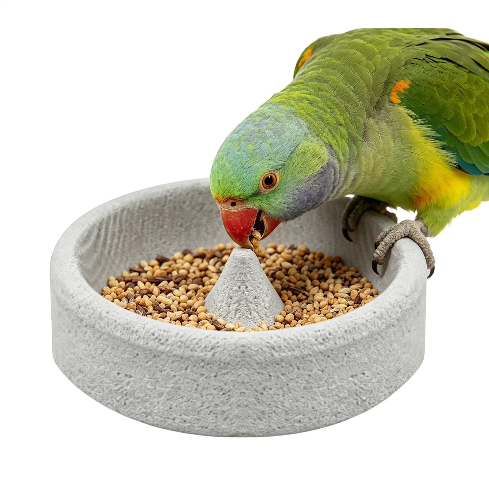 Pumice Stone Bird Feeders for  - огляд і ціна Stones Watches & Jewelry In Sweden Ab