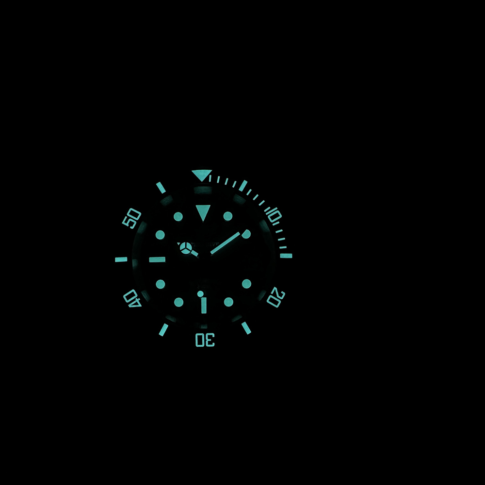 Steeldive New Watch SD1953C Wa - огляд і ціна Seiko Watch Prospex